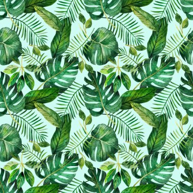 Beyaz arka planda tropikal yaprakları olan kusursuz bir desen, hatıra defteri ve hediye paketi için mükemmel, ayrıca giysilerdeki parmak izleri için de uygun. Kağıda elle çizilmiş suluboya, dijital klipsleme. Yeşil Tropik Yapraklar, Canavar, Palmiye Yaprakları