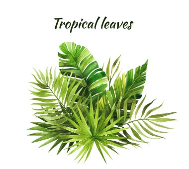 Suluboya ile boyanmış tropik yapraklar ve çiçekler, el çizimi, kartlar ve tasarım, hatıra defteri ve dekupaj için.