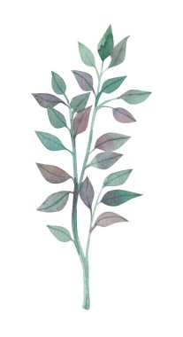 Yapraklı suluboya dal