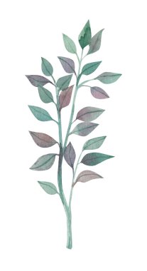 Yapraklı suluboya dal