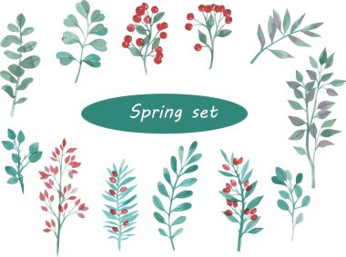 Bahar suluboya seti, yeşil dallar ve kırmızı böğürtlenler, yaz sezonu, dekorasyon için. kolleksiyon kitabı