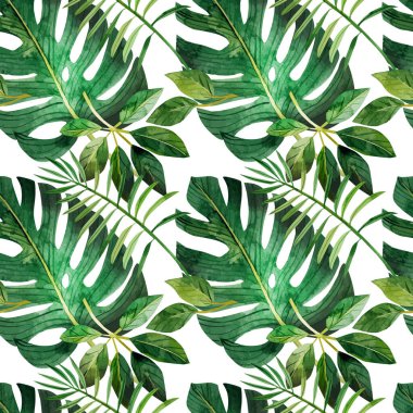 Koyu bir arka planda tropikal yaprakları olan kusursuz bir desen, hatıra defteri ve hediye paketi için mükemmel, ayrıca giysilerdeki parmak izleri için de uygun. Kağıda elle çizilmiş suluboya, dijital klipsleme. Yeşil Tropik Yapraklar, Canavar, Palmiye Yaprakları