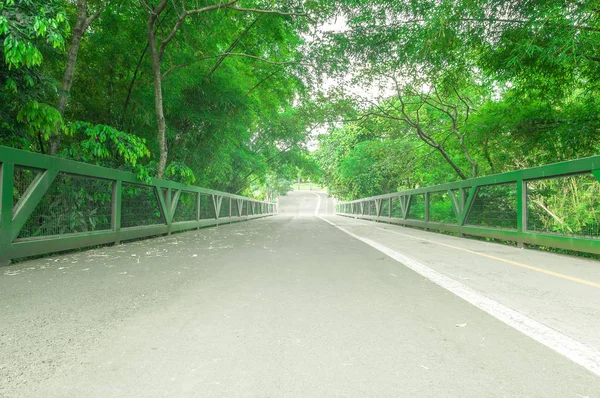 Puente con un sendero para bicicletas y personas que caminan en un parque de Campo Grande MS, Brasil. Vegetación verde con grandes árboles cruzando el puente . — Foto de Stock
