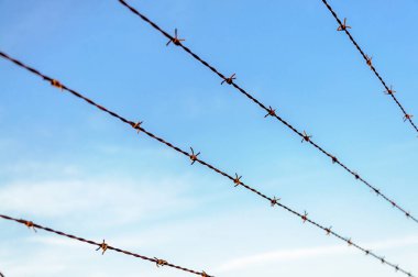 Çit Jiletli tel bir mavi gökyüzü arka plan ile.