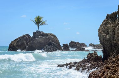 Deniz suyu ve bazı kaya oluşumları paradisiacal bir sahne çevrili bir tek Hindistan cevizi ağacı ile Mini ada çok güzel bir gün. 
