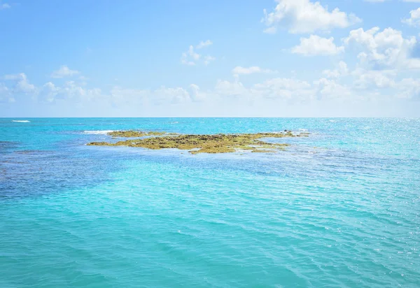 Rocks and corals in the sea of Joao Pessoa PB, Brazil. — Stock Photo, Image