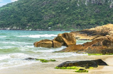 Deniz kenarında kaya oluşumu