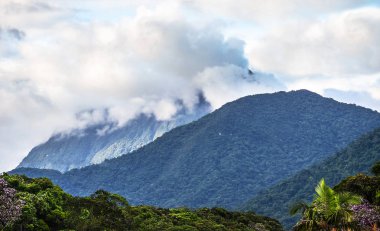 Ağaçlar, bitkiler, yeşil bitki örtüsü ve bulutlar gökyüzü üzerinde dağ arka plan