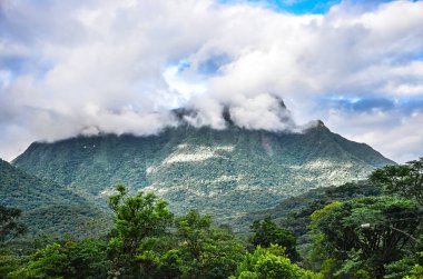 Ağaçlar, bitkiler, yeşil bitki örtüsü ve bulutlar gökyüzü üzerinde dağ arka plan