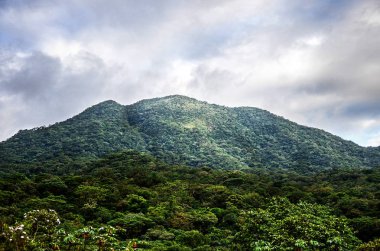 Ağaçlar, bitkiler, yeşil bitki örtüsü ve bulutlar gökyüzü üzerinde dağ arka plan