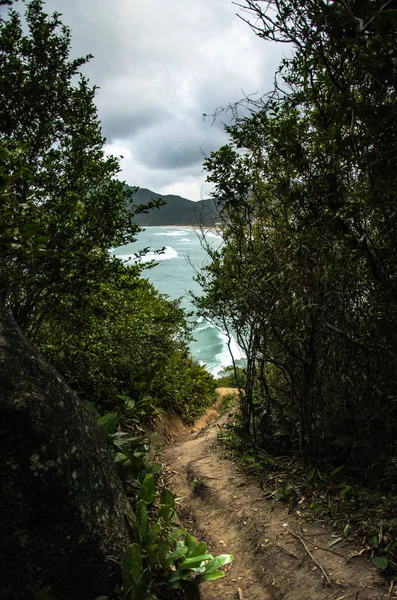 Caminho em meio à vegetação montanhosa que leva até a praia — Fotografia de Stock