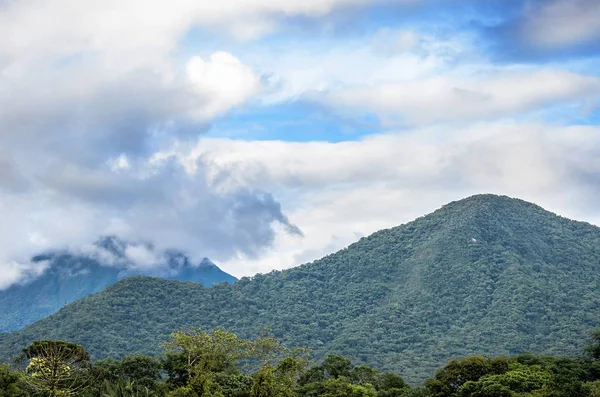 Fundo da montanha com árvores, plantas, vegetação verde e nuvens no céu — Fotografia de Stock