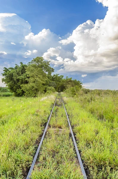 Железнодорожный путь, проходящий через зеленое поле — стоковое фото