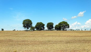Çiftlikte hasat sonra toprak