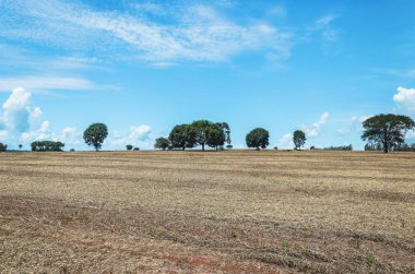 Çiftlikte hasat sonra toprak