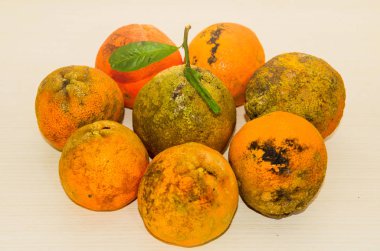 Rangpur kireç yan yana demet