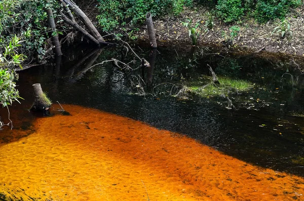 Água de um rio com a cor laranja na margem arenosa do — Fotografia de Stock