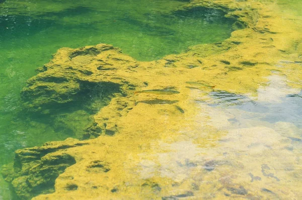河流底部有透明绿色的岩层 — 图库照片