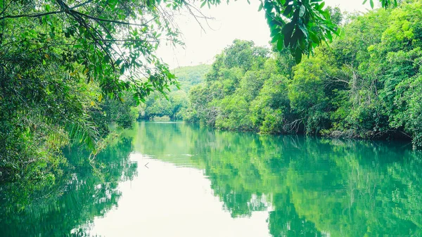 Paisagem de água verde e floresta ao redor do rio Formoso em Boni — Fotografia de Stock