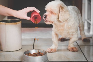 Kupa için belgili tanımlık köpek rasyon dökme. 