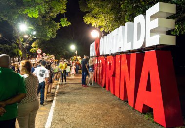 Londrina Ortaokulu Brezilya 'nın Noel totemi
