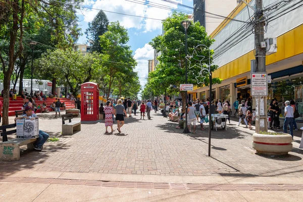 Londrina w centrum — Zdjęcie stockowe