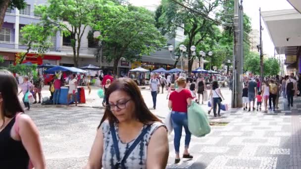 Londrina Brazil December 2019 Downtown Londrina Video People Shopping Walking — 비디오