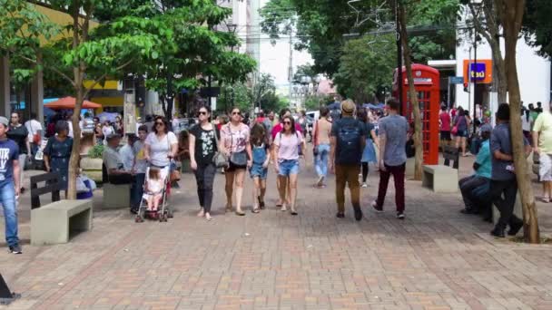 Londrina Brazil December 2019 Downtown Londrina Video People Shopping Walking — Stockvideo