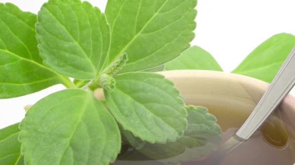 波尔多茶 天然茶和药茶 新鲜的绿色植物 波尔多叶子和饮料里的茶匙 — 图库视频影像