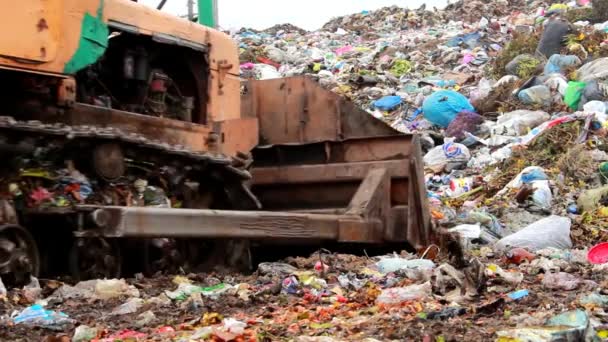 Трактор грабит мусор на свалке. — стоковое видео