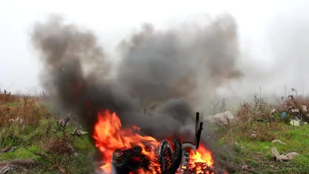 З вогню йде чорний дим — стокове відео