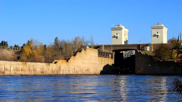 Ринок птахів біля греблі — стокове відео