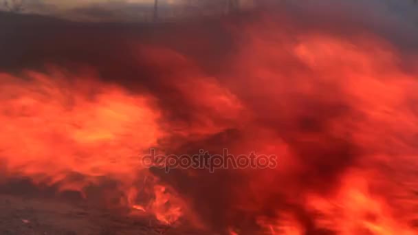 Ισχυρό άνεμο και εκτοξεύσεις της φλόγας — Αρχείο Βίντεο