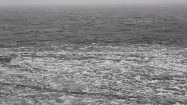 Storm wind op de rivier — Stockvideo