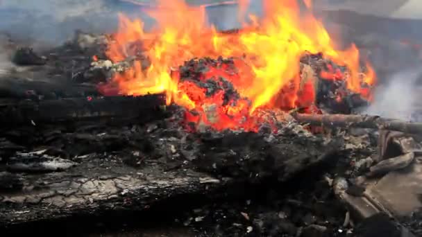 The ash is smoldering in the fire — Stock Video