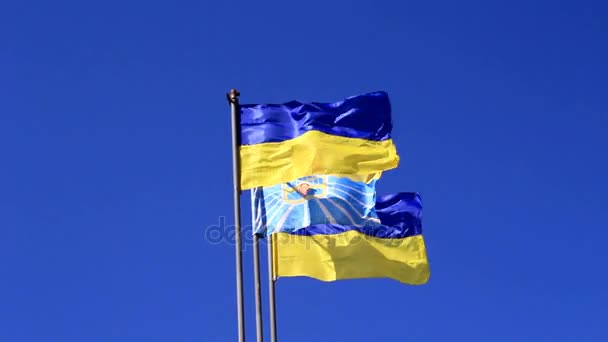 Bandeiras da Ucrânia — Vídeo de Stock