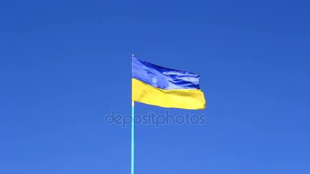 Flag of free Ukraine — Stock Video