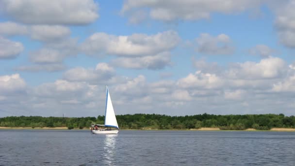 Voilier à l'embouchure de la rivière — Video