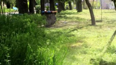 Çim farklı yönlere uçar