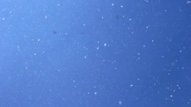 Kavak kabartmak gökyüzünde