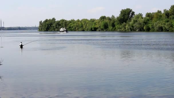 Der Fischer steht im Wasser — Stockvideo