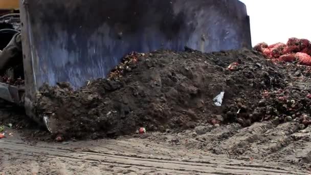 Graafmachine Emmer Duwt Zand Langs Weg Rupsen Wielen Een Stempel — Stockvideo