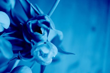 Klasik Mavi arka plan. 2020 yılının rengi. Moda Klasik Mavi Rengi.