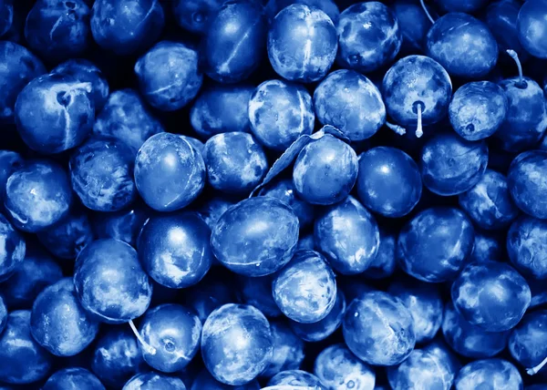 Классический Синий Фон Цвет 2020 Года Trendy Classic Blue — стоковое фото