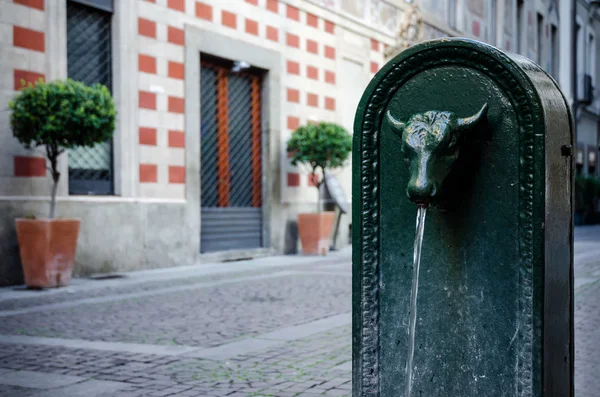 "toret ", typischer bullenförmiger Turin-Brunnen (Italien)) — Stockfoto