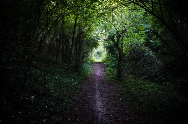 karmaşık koyu renkli ahşap
