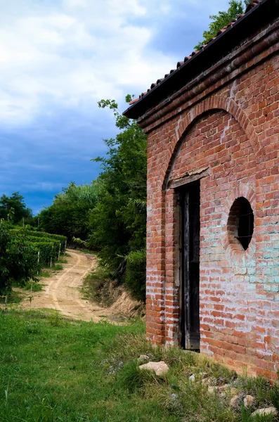 Hırdavatçı üzüm bağları — Stok fotoğraf