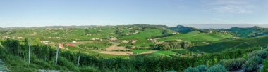 Alba, vineyards of the Langhe clipart