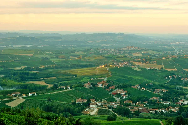 Alba, viñedos del Langhe — Foto de Stock