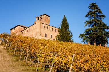 Üzüm bağları ve kale rinzane Cavour Piedmont (İtalya)